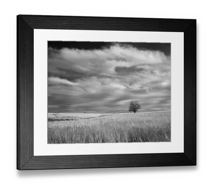 Framed Print : Tree in Flint Hills of Kansas Framed Print : Tree in Flint Hills of Kansas