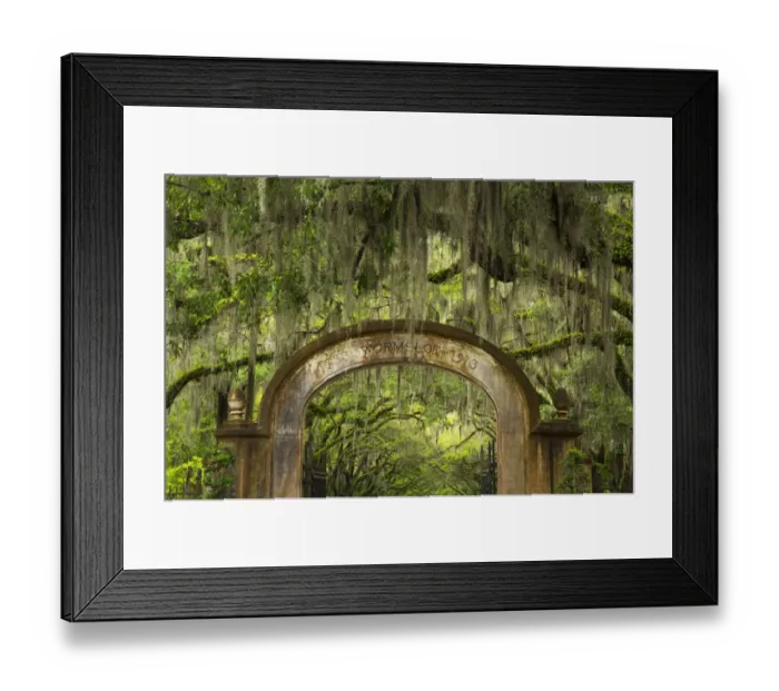 Framed Print : USA, Georgia, Savannah. Entrance to Historic Wormsloe Plantation Framed Print : USA, Georgia, Savannah. Entrance to Historic Wormsloe Plantation