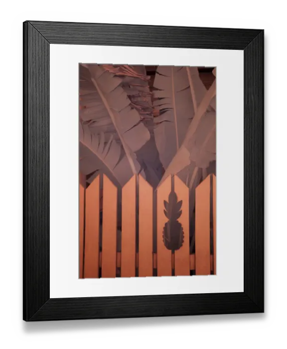 Framed Print : USA, Florida, Key West. Picket fence with pineapples carved in it, Key West, Florida Framed Print : USA, Florida, Key West. Picket fence with pineapples carved in it, Key West, Florida