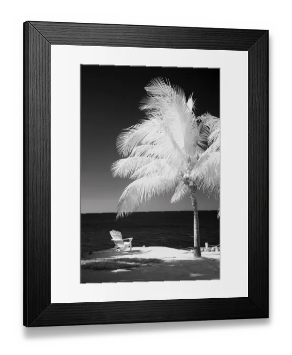 Framed Print : USA, Florida Keys. Infrared palm trees with lounge chairs along the Florida Keys Framed Print : USA, Florida Keys. Infrared palm trees with lounge chairs along the Florida Keys