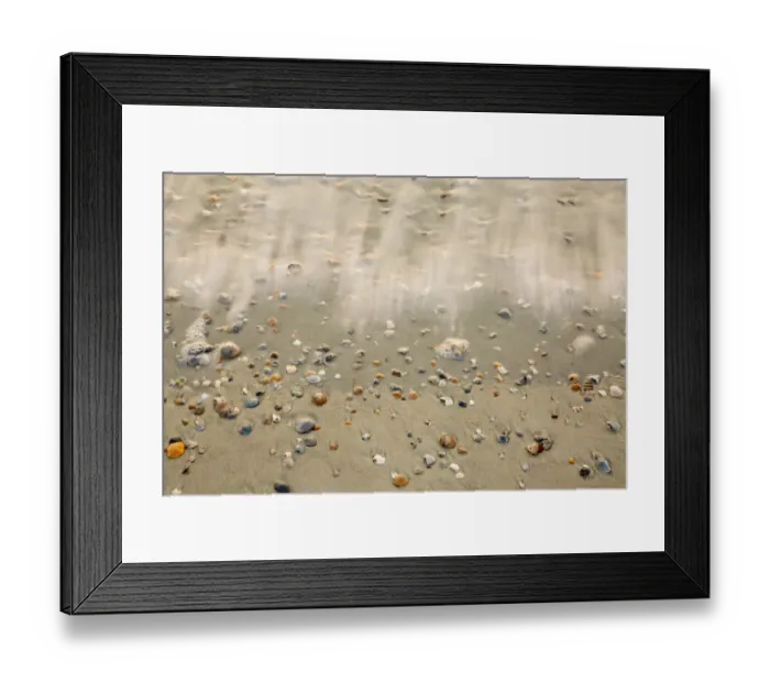 Framed Print : USA, Georgia, Tybee Island. Small shells washed up along shore line Framed Print : USA, Georgia, Tybee Island. Small shells washed up along shore line