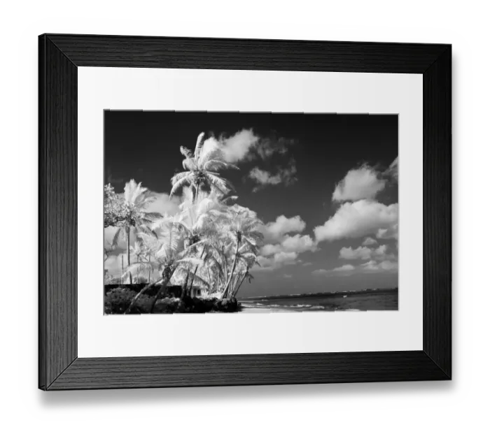 Framed Print : USA, Hawaii, Oahu. Infrared of palm trees and beach Framed Print : USA, Hawaii, Oahu. Infrared of palm trees and beach