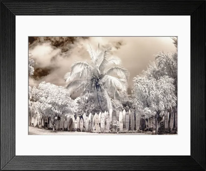 Framed Print : USA, Hawaii, Maui. Infrared image of surfboard fence line in palm trees Framed Print : USA, Hawaii, Maui. Infrared image of surfboard fence line in palm trees