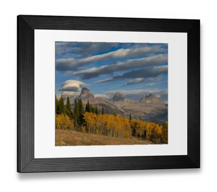 Framed Print : Streaky cirrus and cumulus clouds complement Golden Aspens with Grand