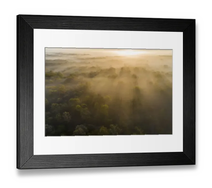 Framed Print : Aerial sunrise over forest covered with fog in spring Marion County, Illinois Framed Print : Aerial sunrise over forest covered with fog in spring Marion County, Illinois