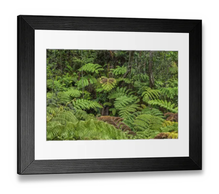 Framed Print : USA, Hawaii, Big Island of Hawaii. Hawaii Volcanoes National Park Framed Print : USA, Hawaii, Big Island of Hawaii. Hawaii Volcanoes National Park