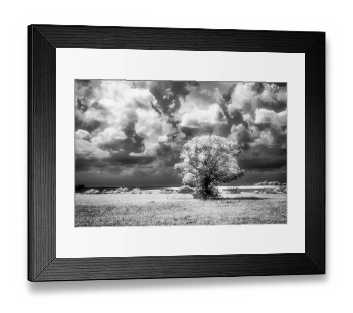 Framed Print : Kansas plains glowing with sun before the approaching storm arrives Framed Print : Kansas plains glowing with sun before the approaching storm arrives
