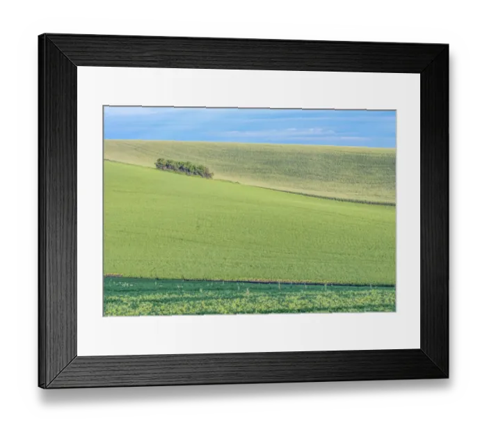 Framed Print : Idaho, Latah County. Spring farm fields Framed Print : Idaho, Latah County. Spring farm fields