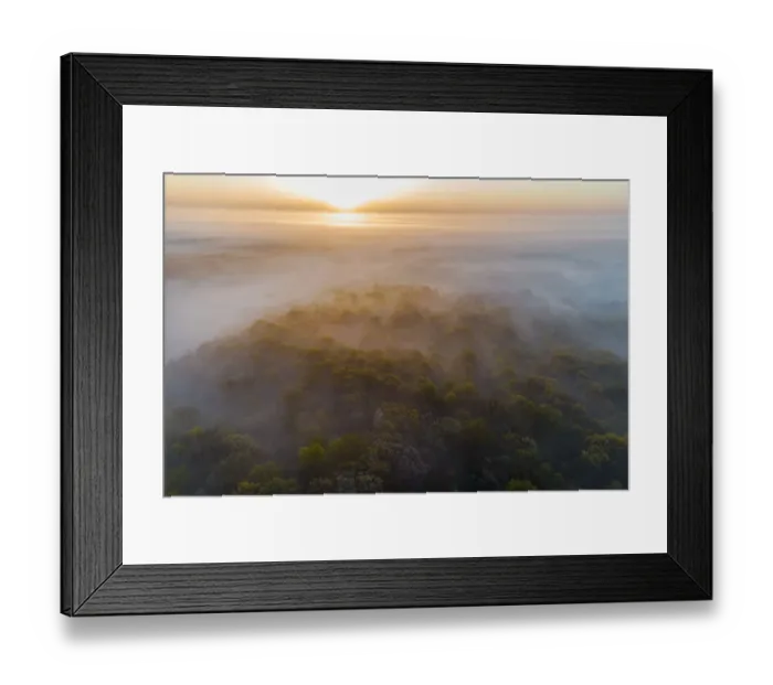 Framed Print : Aerial sunrise over forest covered with fog in spring Marion County, Illinois