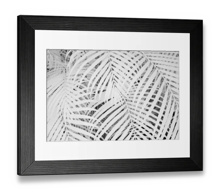 Framed Print : USA, Hawaii, Maui. Infrared image of bamboo growing in large groups Framed Print : USA, Hawaii, Maui. Infrared image of bamboo growing in large groups