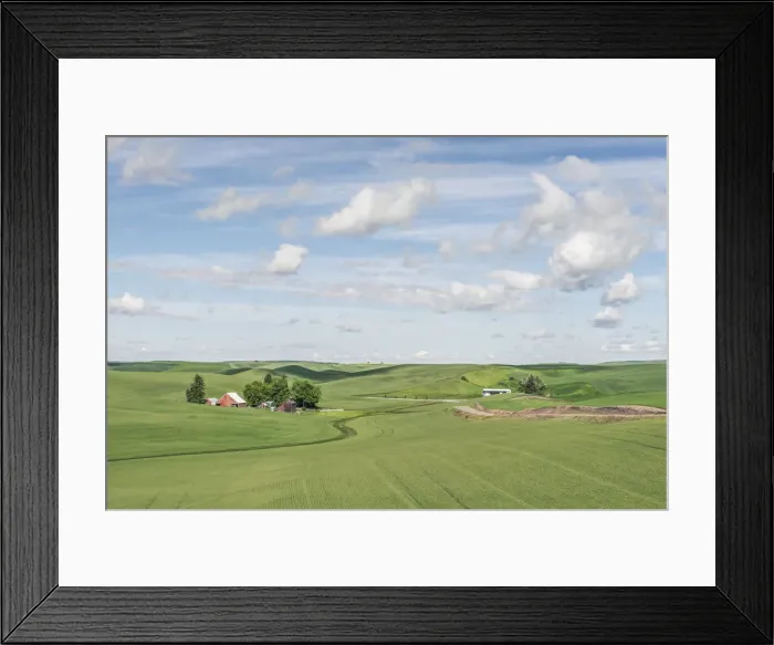 Framed Print : Idaho, Latah County. Borgen Road Farm Framed Print : Idaho, Latah County. Borgen Road Farm