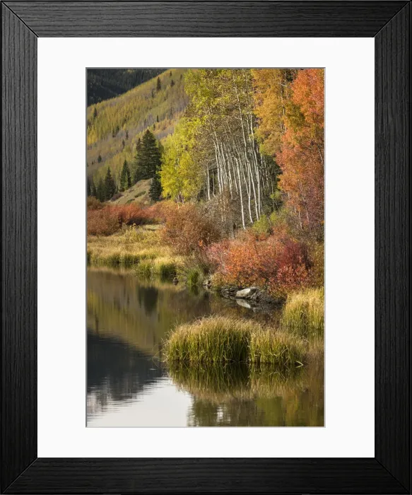 Framed Print : Autumn colors on shoreline of Crystal Lake at sunrise, Uncompahgre National Forest