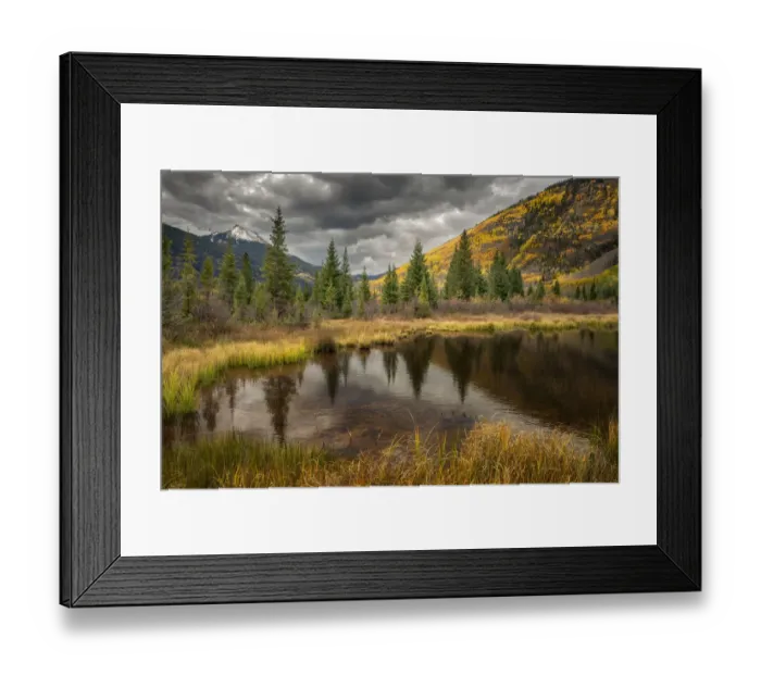 Framed Print : Autumn aspen trees reflecting on pond, near Ouray, Uncompahgre National Forest, Colorado Framed Print : Autumn aspen trees reflecting on pond, near Ouray, Uncompahgre National Forest, Colorado