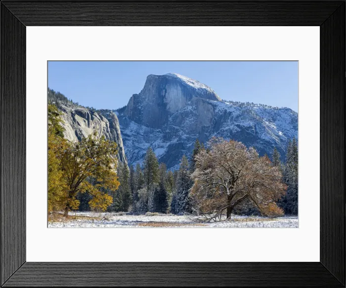 Framed Print : Cooks Meadow. Autumn first snow in Yosemite National Park, California, USA