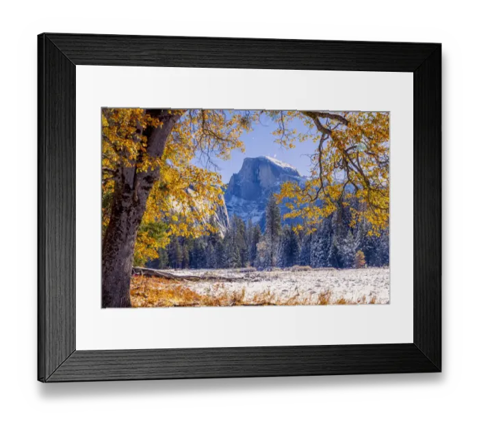 Framed Print : Cooks Meadow. Autumn first snow in Yosemite National Park, California, USA