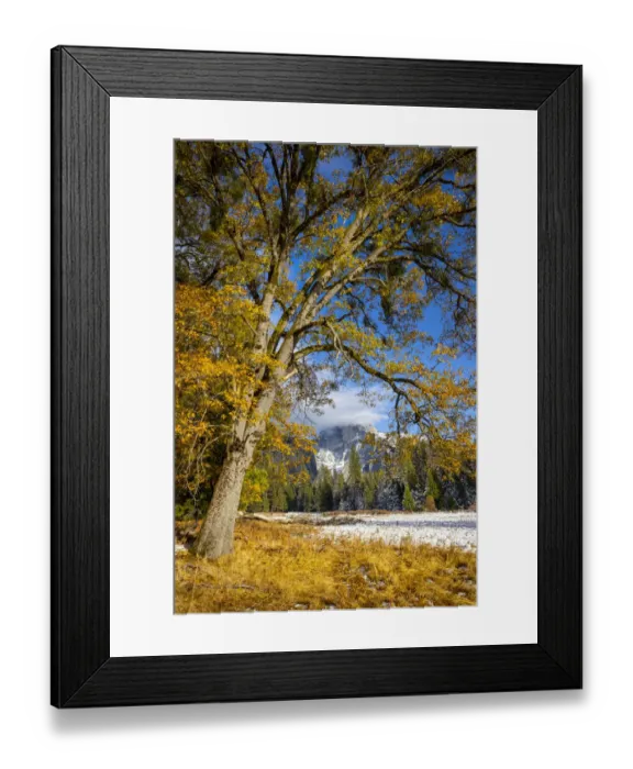 Framed Print : Cooks Meadow. Autumn first snow in Yosemite National Park, California, USA