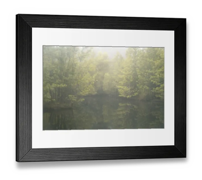 Framed Print : USA, New Jersey, Cox Hall Wildlife Management Area. Fog over lake and flowers