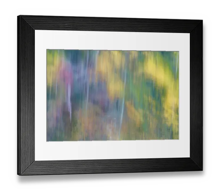 Framed Print : USA, New Jersey, Pine Barrens National Preserve. Autumn colors reflect in water Framed Print : USA, New Jersey, Pine Barrens National Preserve. Autumn colors reflect in water