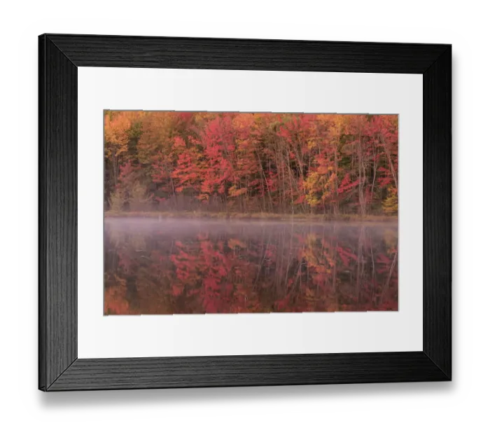 Framed Print : Michigan, Upper Peninsula, Hiawatha National Forest, Fall colors reflected in a lake Framed Print : Michigan, Upper Peninsula, Hiawatha National Forest, Fall colors reflected in a lake