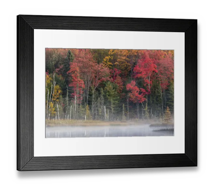 Framed Print : Michigan, Upper Peninsula, Hiawatha National Forest, Autumn colors at a foggy lake Framed Print : Michigan, Upper Peninsula, Hiawatha National Forest, Autumn colors at a foggy lake