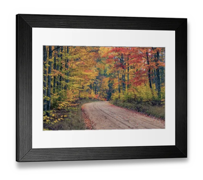 Framed Print : Road through Hiawatha National Forest and fall colors, Upper Peninsula of Michigan Framed Print : Road through Hiawatha National Forest and fall colors, Upper Peninsula of Michigan