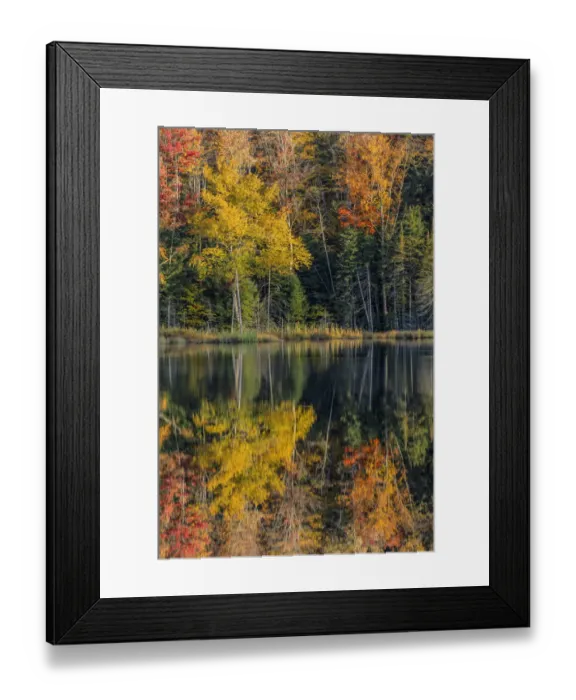 Framed Print : Autumn reflection, Upper Peninsula of Michigan Framed Print : Autumn reflection, Upper Peninsula of Michigan