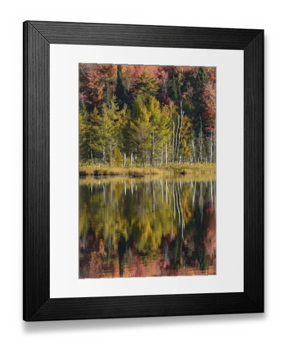 Framed Print : Autumn reflection on shoreline, Council Lake, Upper Peninsula of Michigan