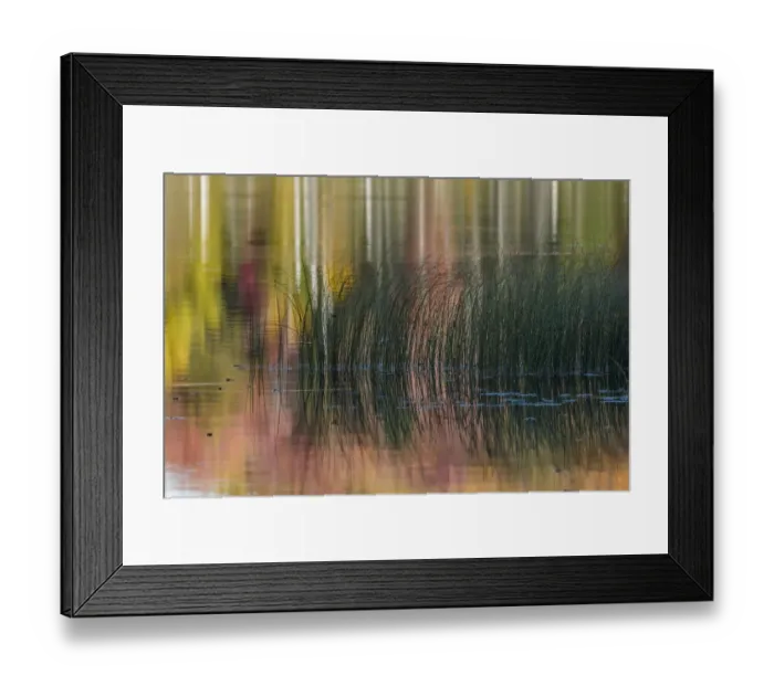 Framed Print : Reeds and abstract reflection of fall colors on Council Lake, Upper Peninsula of Michigan