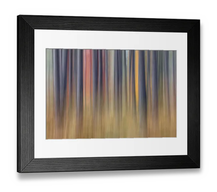 Framed Print : Abstract blurred tree trunks and fall foliage, Hiawatha National Forest, Upper Peninsula Framed Print : Abstract blurred tree trunks and fall foliage, Hiawatha National Forest, Upper Peninsula