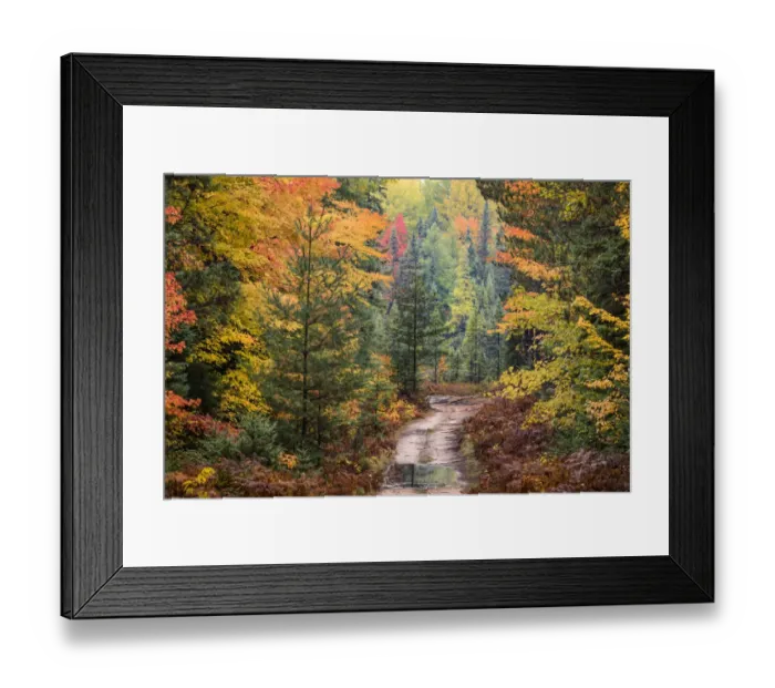 Framed Print : Road through Hiawatha National Forest and fall colors, Upper Peninsula of Michigan Framed Print : Road through Hiawatha National Forest and fall colors, Upper Peninsula of Michigan