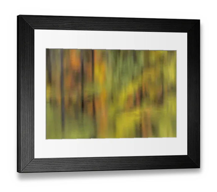Framed Print : Abstract reflection of trees and autumn colors on small pond, Upper Peninsula of Michigan Framed Print : Abstract reflection of trees and autumn colors on small pond, Upper Peninsula of Michigan