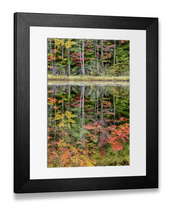 Framed Print : USA, Michigan, Upper Peninsula, Thornton Lake reflections Framed Print : USA, Michigan, Upper Peninsula, Thornton Lake reflections