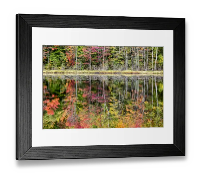 Framed Print : USA, Michigan, Upper Peninsula, Thornton Lake reflections Framed Print : USA, Michigan, Upper Peninsula, Thornton Lake reflections