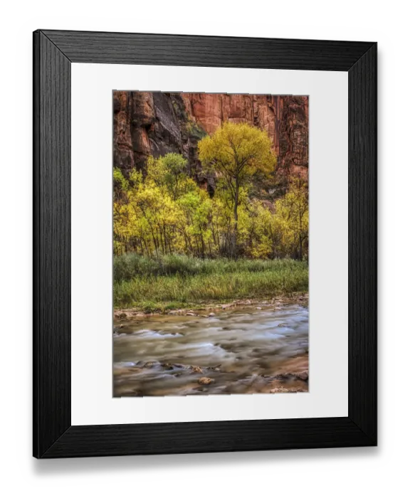 Framed Print : USA, Utah, Zion National Park Framed Print : USA, Utah, Zion National Park