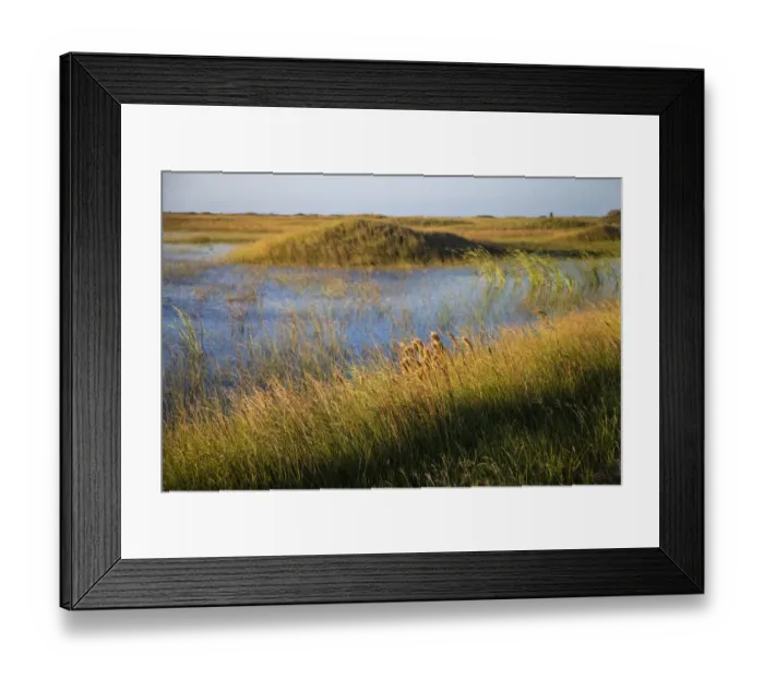 Framed Print : Grass-covered Dunes at Padre Island National Seashore