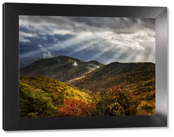 USA, North Carolina, Blue Ridge Parkway, Autumn color from Bunches Bald Overlook