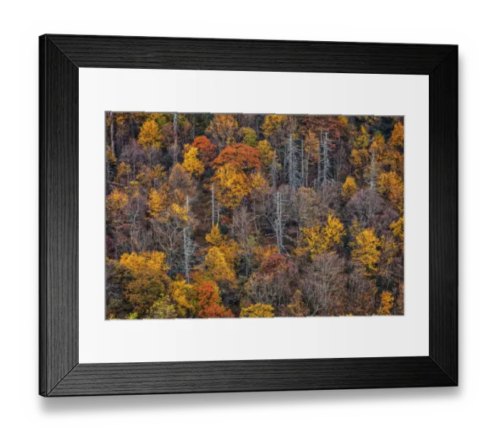 Framed Print : Blueridge Parkway, North Carolina