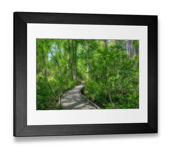 Framed Print : Walkway, Sandhills Horticultural Gardens, Pinehurst, North Carolina