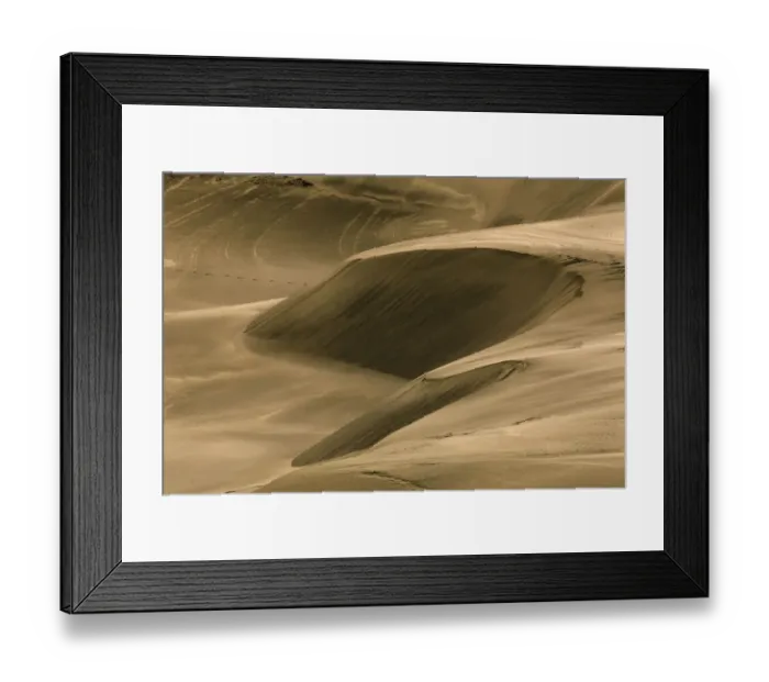 Framed Print : Drifting dunes, John Dellenback Dunes, Siuslaw National Forest, Coos County, Oregon Framed Print : Drifting dunes, John Dellenback Dunes, Siuslaw National Forest, Coos County, Oregon