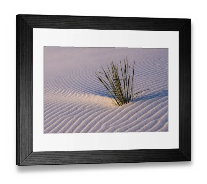 Framed Print : USA, New Mexico, White Sands National Park Framed Print : USA, New Mexico, White Sands National Park