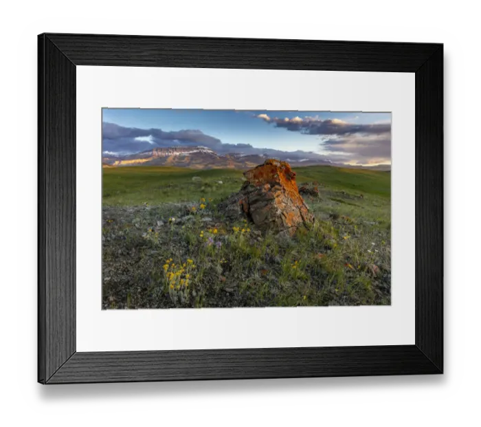 Framed Print : Colorful scattered moraine with Castle Reef along the Rocky Mountain Front near Augusta Framed Print : Colorful scattered moraine with Castle Reef along the Rocky Mountain Front near Augusta