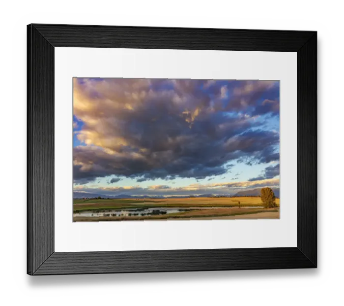 Framed Print : Wetlands provide critical bird habitat in the Flathead Valley, Montana, USA Framed Print : Wetlands provide critical bird habitat in the Flathead Valley, Montana, USA