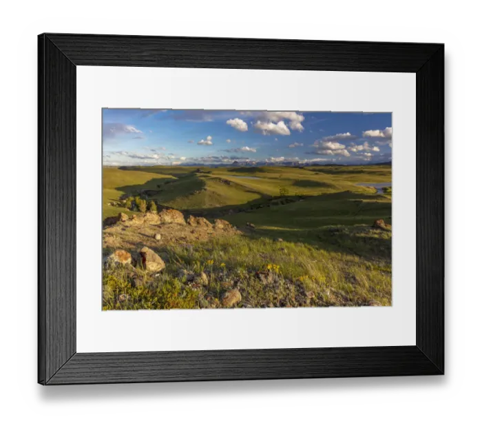 Framed Print : Prairie reef with wildflowers in the evening along the Rocky Mountain Front near Augusta Framed Print : Prairie reef with wildflowers in the evening along the Rocky Mountain Front near Augusta