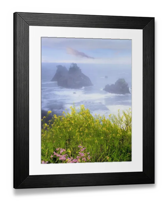 Framed Print : USA, Oregon, Samuel H. Boardman State Park. Wild mustard on cliff above coastline Framed Print : USA, Oregon, Samuel H. Boardman State Park. Wild mustard on cliff above coastline