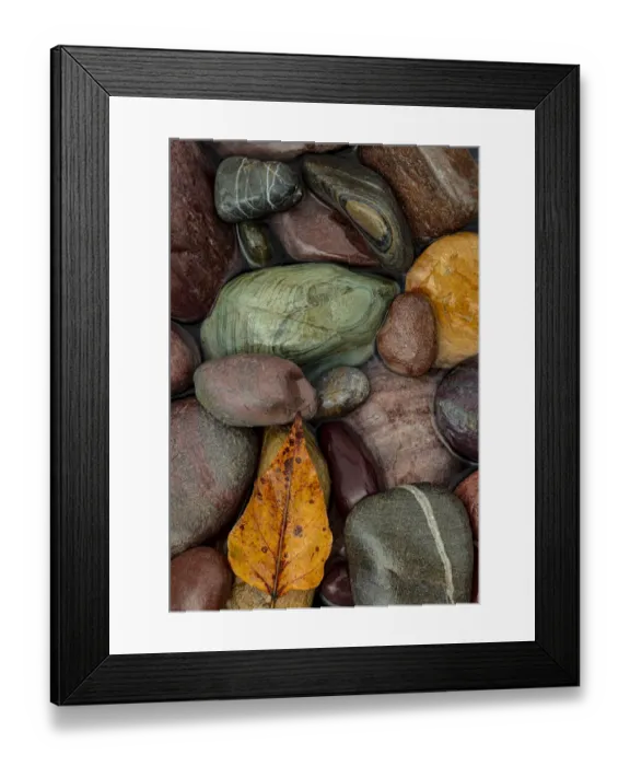 Framed Print : Colorful river rocks along the Middle Fork of the Flathead River in Glacier National Park Framed Print : Colorful river rocks along the Middle Fork of the Flathead River in Glacier National Park