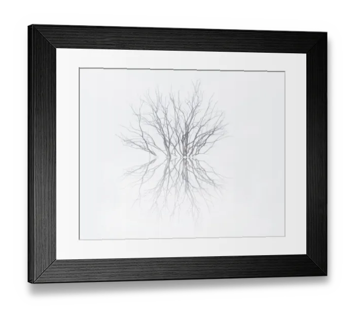 Framed Print : Foggy morning at Eldorado State Lake, Kansas. Trees sticking out of water Framed Print : Foggy morning at Eldorado State Lake, Kansas. Trees sticking out of water
