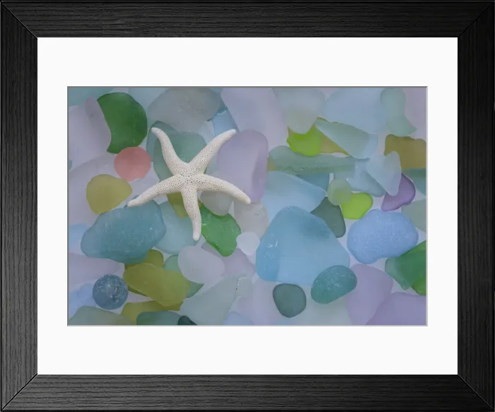 Framed Print : USA, Washington State, Seabeck. Starfish and beach glass close-up