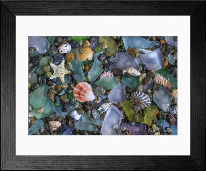 Framed Print : USA, Washington State, Seabeck. Sea shells and beach glass close-up Framed Print : USA, Washington State, Seabeck. Sea shells and beach glass close-up