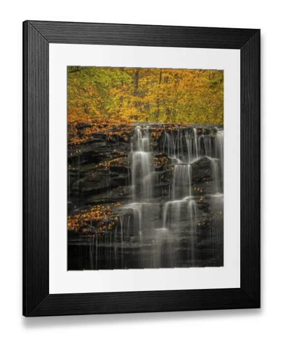 Framed Print : USA, Pennsylvania, Ricketts Glen State Park. Autumn forest