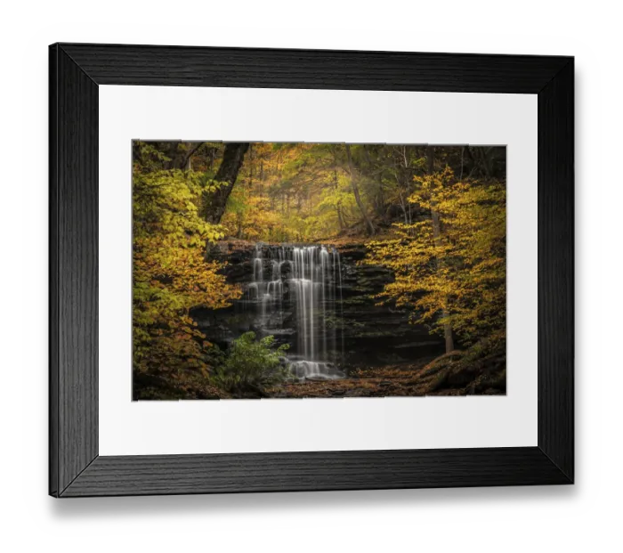 Framed Print : USA, Pennsylvania, Ricketts Glen State Park. Autumn forest Framed Print : USA, Pennsylvania, Ricketts Glen State Park. Autumn forest